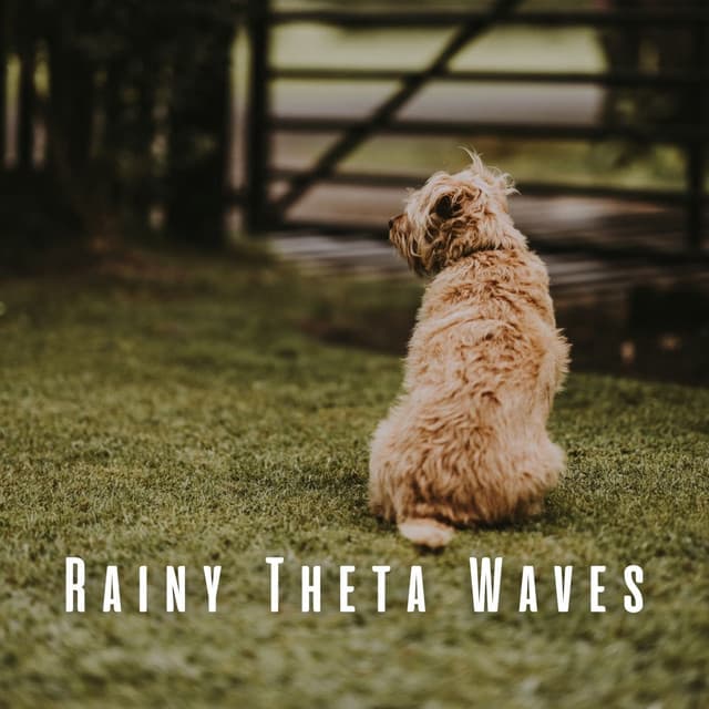 Rainy Theta Waves: Tranquil Binaural Beats for Blissful Dogs - Sounds of Rain