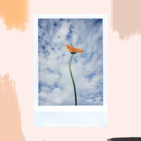 Feelings for Laid Back Overtones - Latin Chill Out