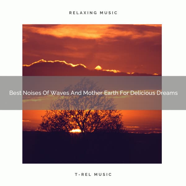 Best Noises Of Waves And Mother Earth For Delicious Dreams - Noise Makers