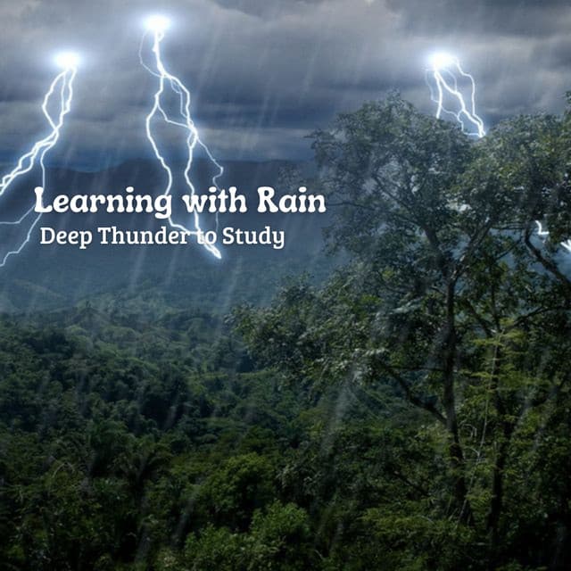 Learning with Rain: Deep Thunder to Study - Rain & Thunder