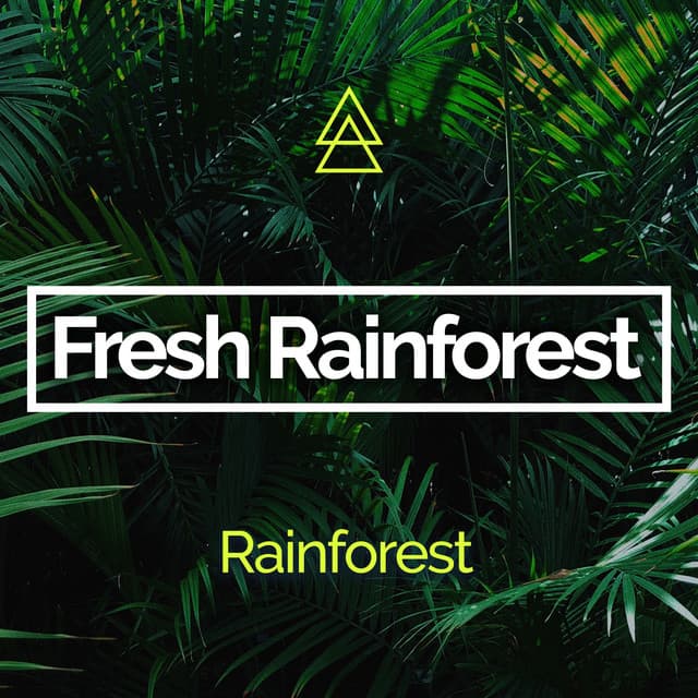 Fresh Rainforest - Rainforest