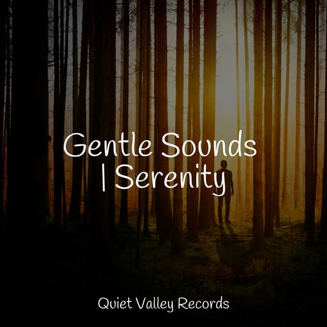 Gentle Sounds | Serenity - Rain Sounds Factory STHLM