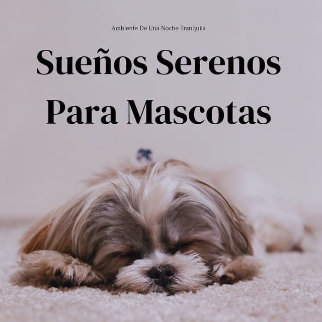 Ambiente De Una Noche Tranquila: Sueños Serenos Para Mascotas - Ecos Débiles