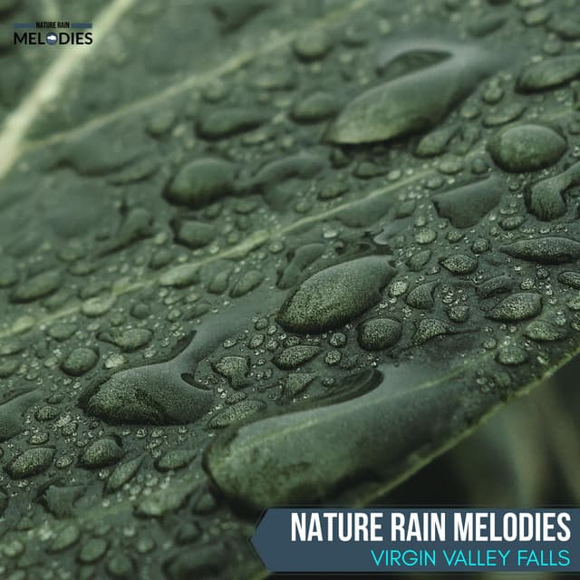 Nature Rain Melodies - Virgin Valley Falls - The Rain Library