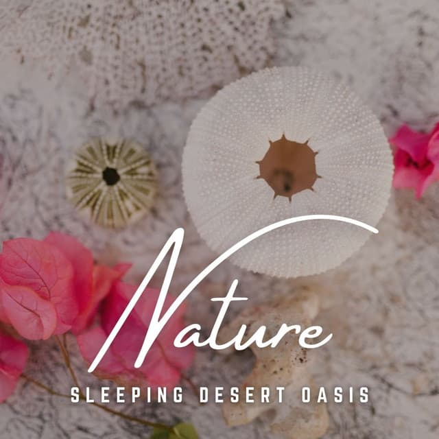 Sleeping Desert Oasis: Sand and Stars - Deep Sleep FX