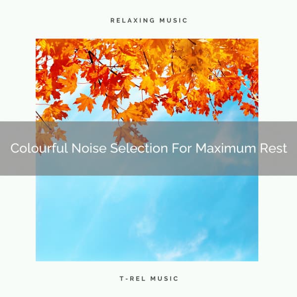 Colourful Noise Selection For Maximum Rest - Pure Deep Sleep White Noise