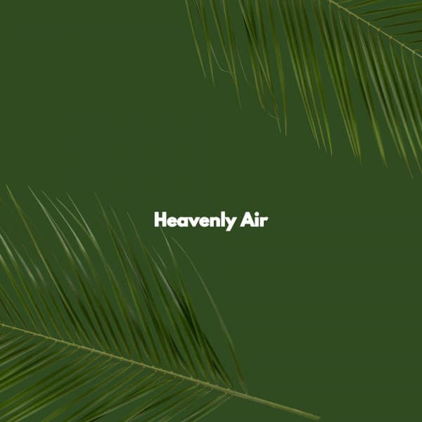 Heavenly Air - Co-Working Music Playlist