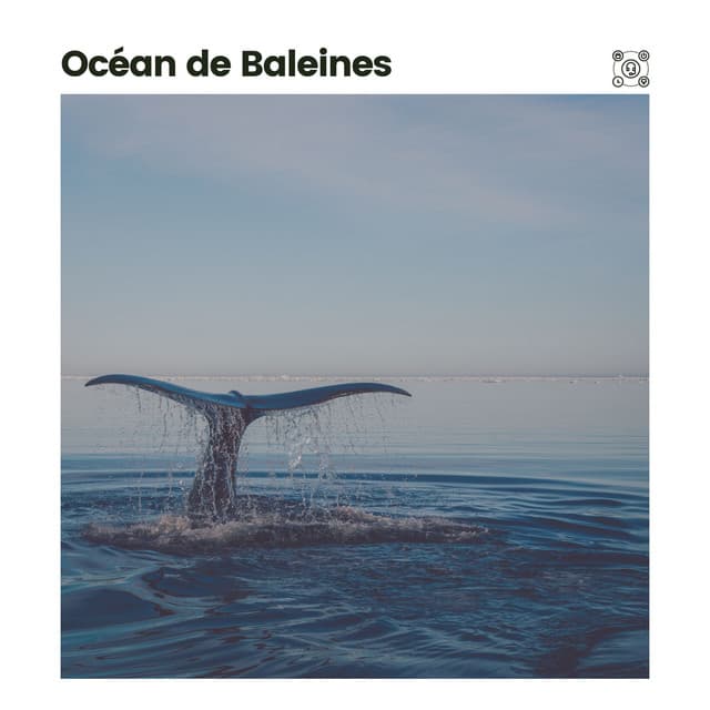 Océan de Baleines - Vagues Dans La Mer