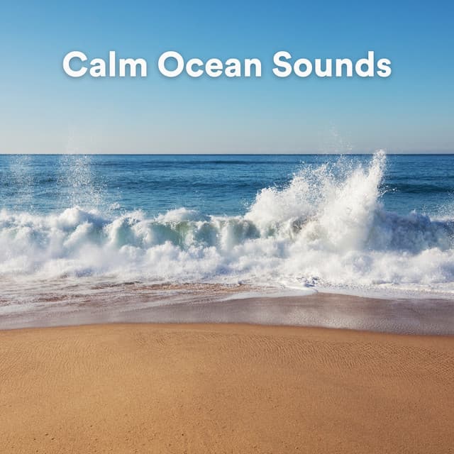 Calm Ocean Sounds - Calm Ocean Sounds