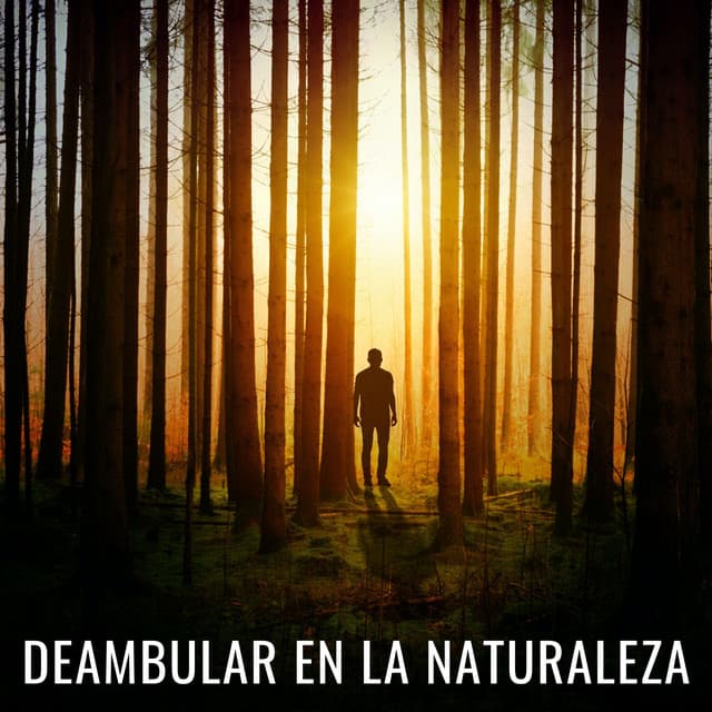 Colección relajante