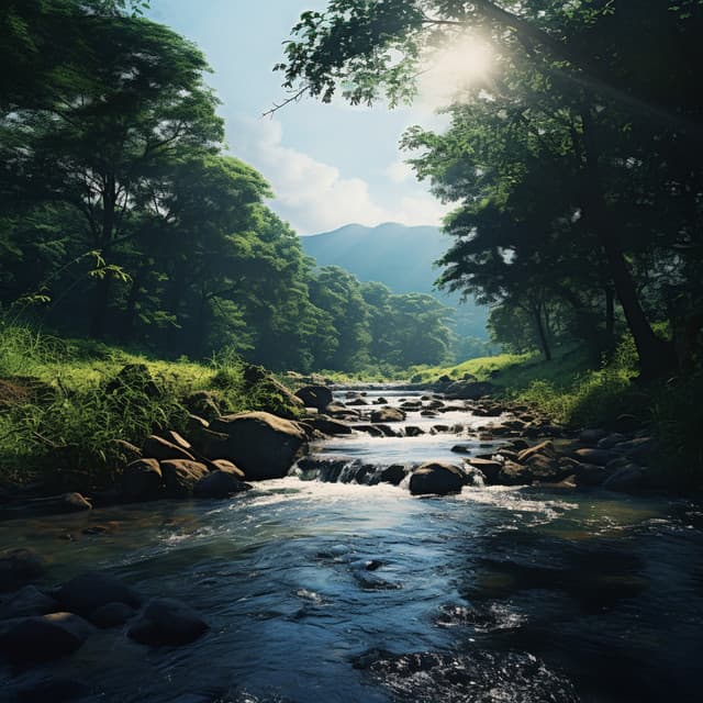 Calmante Del Agua: Armonías Binaurales Del Arroyo - Latidos Binaurales Puros