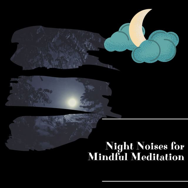 Night Noises for Mindful Meditation - Night Nature Sounds