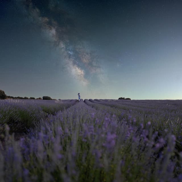 1 Sleepy Galaxy: The REM Cosmos - Calm Music