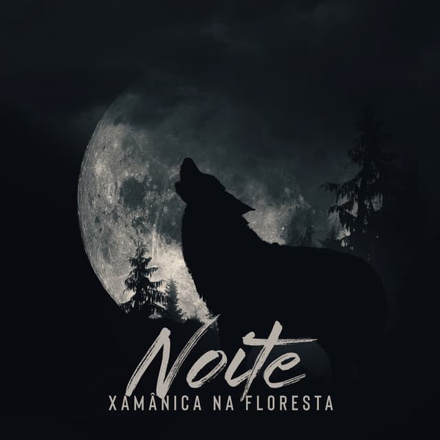 Noite Xamânica na Floresta - Native Shamanic Zone