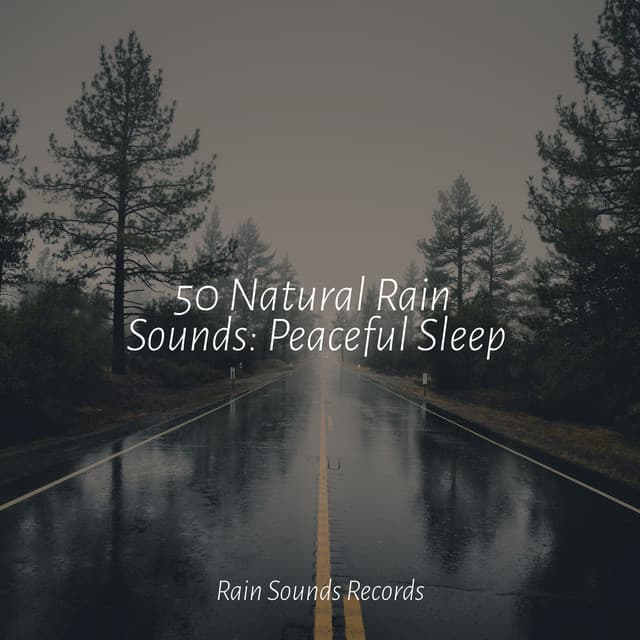 50 Natural Rain Sounds: Peaceful Sleep - Sleepy Night Music