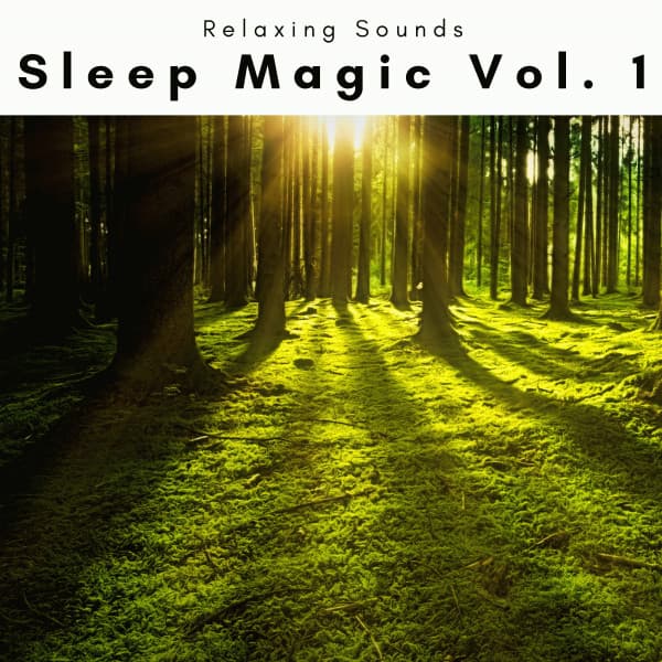 1 Sleep Magic Vol. 1 - Sleep Tech