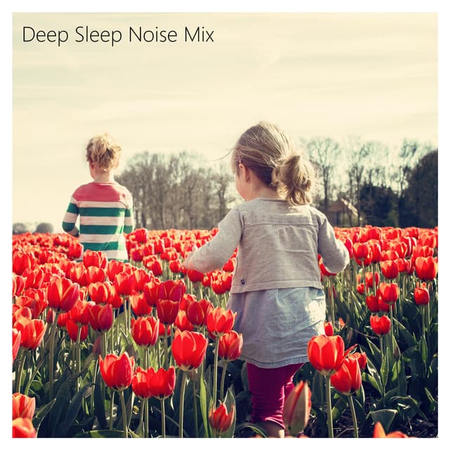 Deep Sleep Noise Mix. White and Brown Noise for Sleeping, Calming and Resting. - Sleep Noise Relax