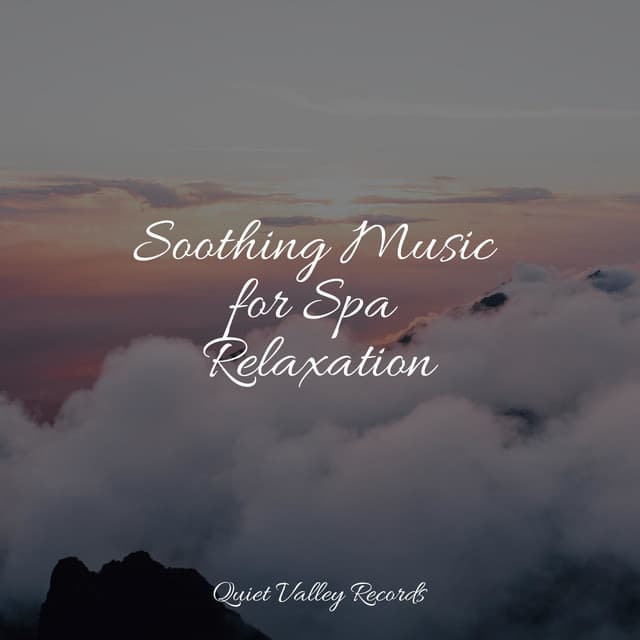 Soothing Music for Spa Relaxation - Ready Baby Music!