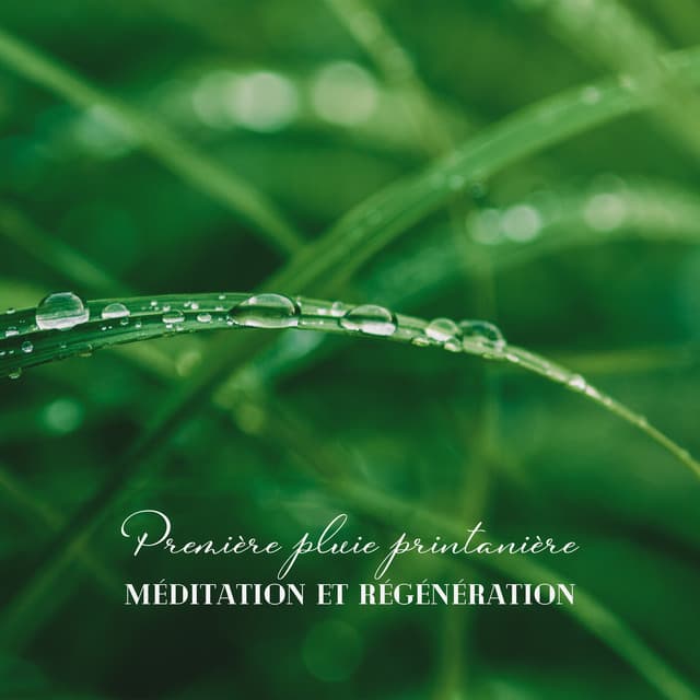 Première pluie printanière: Méditation et régénération - Musique de Réflexion Academy