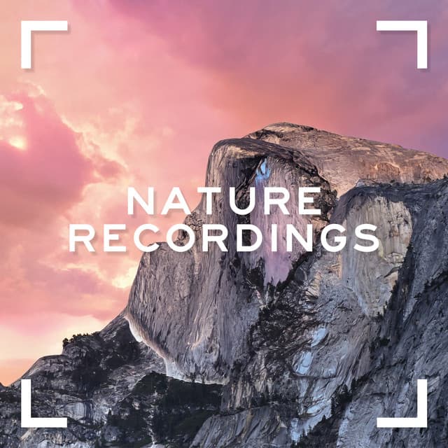Nature Recordings - Natural Sounds