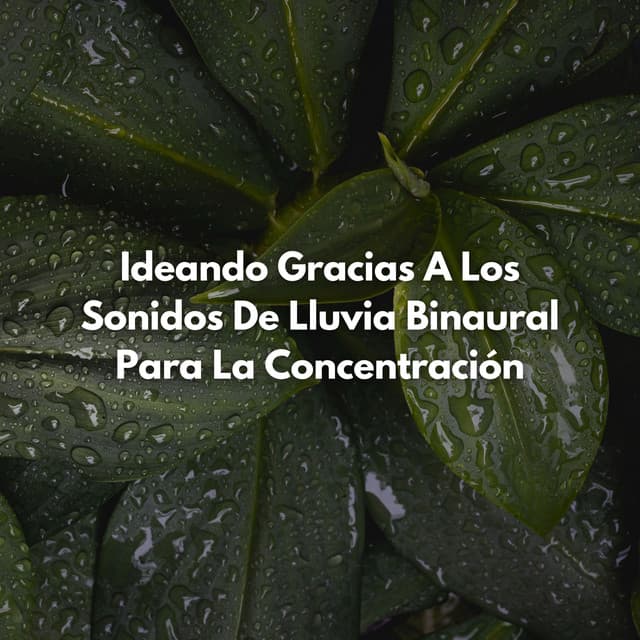 Ideando Gracias A Los Sonidos De Lluvia Binaural Para La Concentración - Ondas Alfa Colectivo