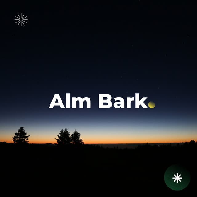 The Silent Horizon - Big Ordo