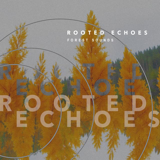 Rooted Echoes - Forest Sounds