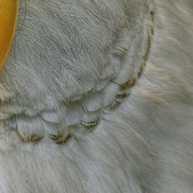 365 Complete Works 24 - Aidan O'Rourke