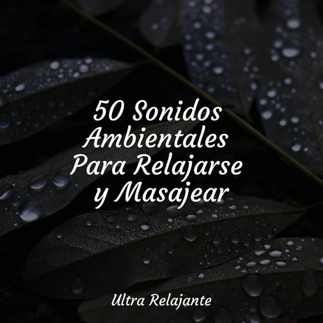 50 Sonidos Ambientales Para Relajarse y Masajear - Sons da Natureza Relax