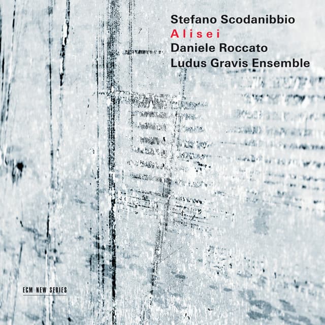 Scodanibbio: Alisei - Stefano Scodanibbio