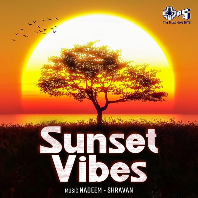 Sunset Vibes - Nadeem Shravan