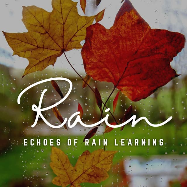 Rhythms of Rain: Study Soundscapes - Granular Soundscape