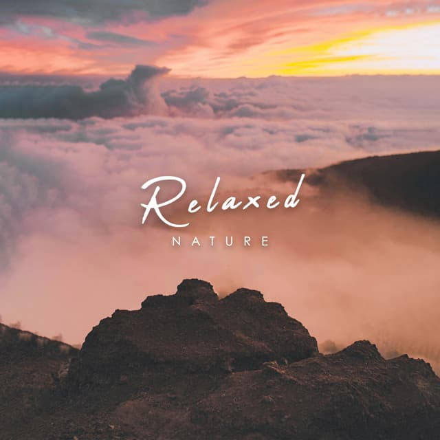 Relaxed Nature - Rain Sounds & Nature Sounds