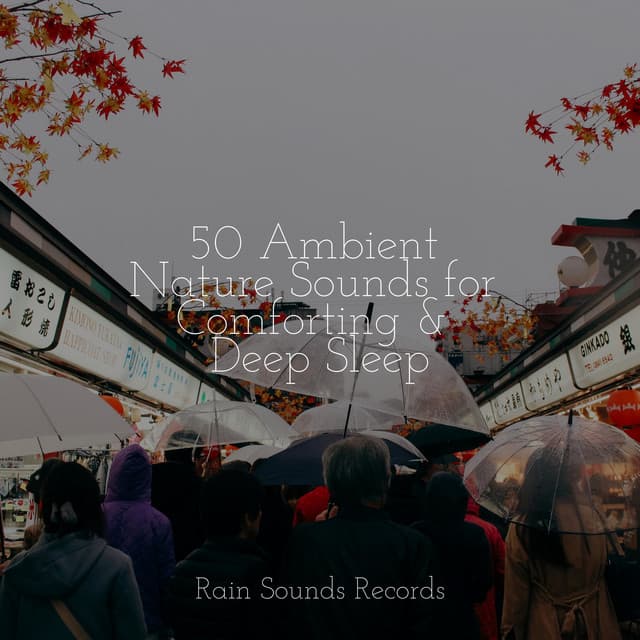 50 Ambient Nature Sounds for Comforting & Deep Sleep - Sleep Sounds of Nature