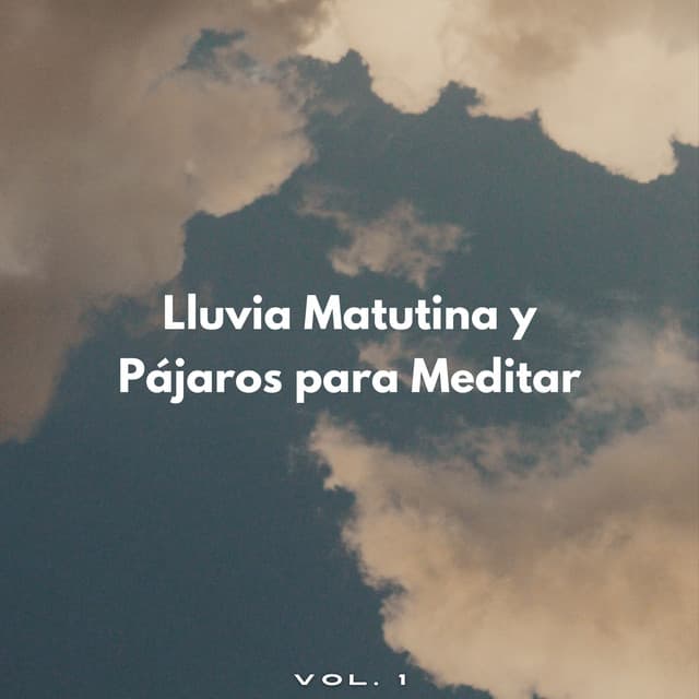 Lluvia Matutina Y Pájaros Para Meditar Vol. 1 - Efectos especiales de sonidos de lluvia