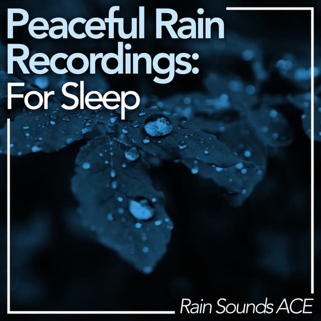 Peaceful Rain Recordings: For Sleep - Rain Sounds ACE