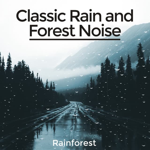 Classic Rain and Forest Noise - Rainforest