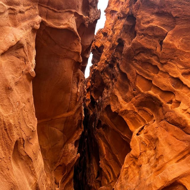 1 Ethos: Absolute Perspective - Nature Sound Collection