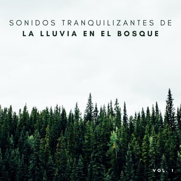 Sonidos Tranquilizantes De La Lluvia En El Bosque Vol. 1 - Trabajar desde Casa Playlist