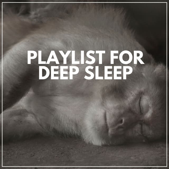 Playlist for Deep Sleep - Crying & Colic Relief