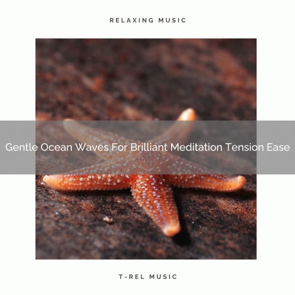 Gentle Ocean Waves For Brilliant Meditation Tension Ease - Endless Relax