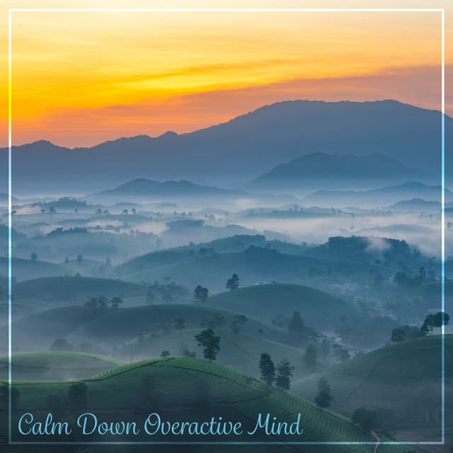 Calm Down Overactive Mind - Total Relax Zone