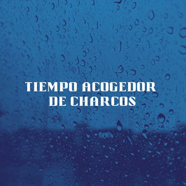 Tiempo Acogedor De Charcos - Registradores de lluvia