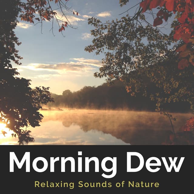 Morning Dew - Relaxing Sounds Of Nature