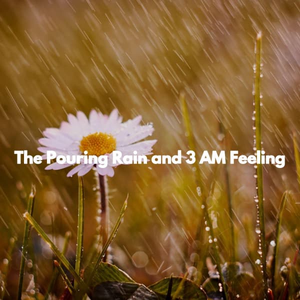 The Pouring Rain and 3 AM Feeling - Calm Instrumental Coffee House