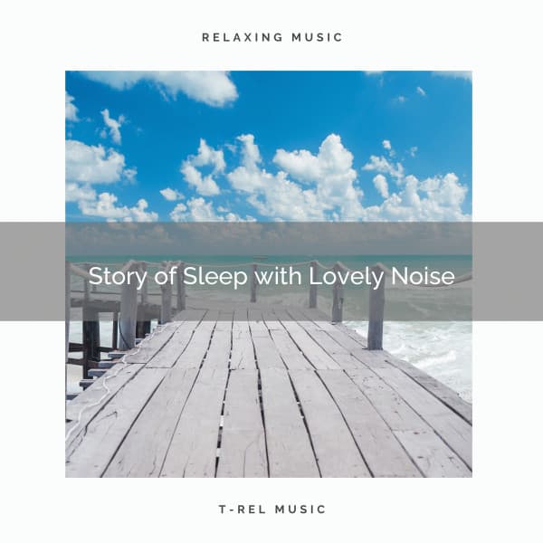 Story of Sleep with Lovely Noise - Deep Sleep Noises