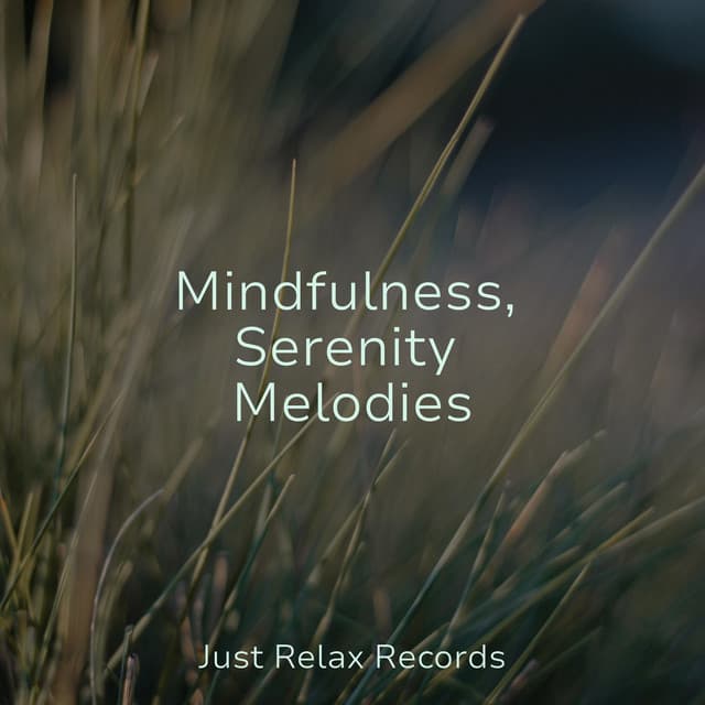 Mindfulness, Serenity Melodies - Chillout Lounge