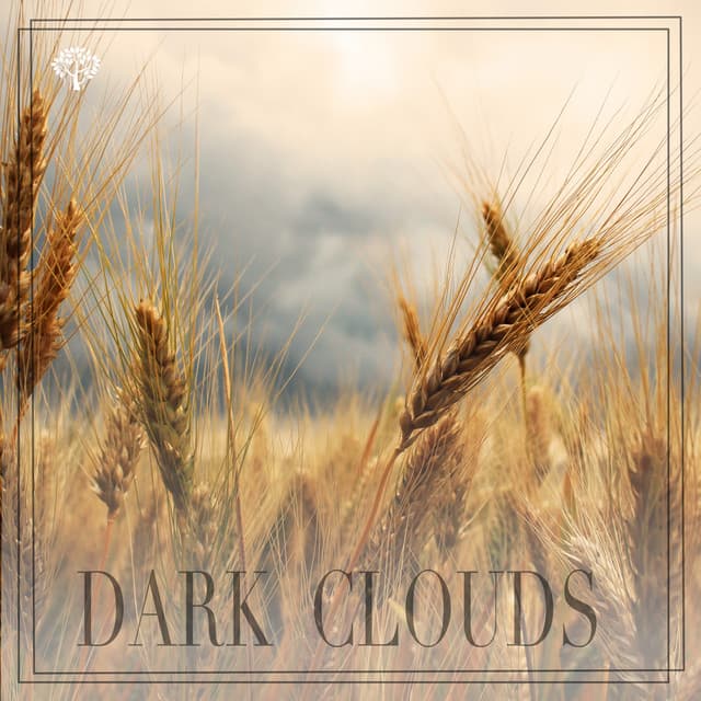 Dark Clouds - Rain & Thunder