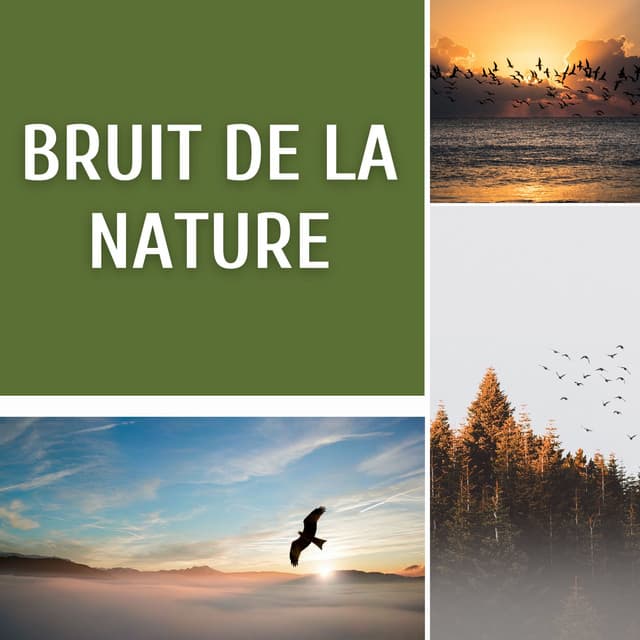 Bruit de la nature - Club de Détendre Tibétain