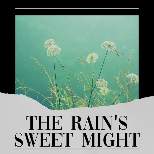 The Rain's Sweet Might - Rainfall Meditations